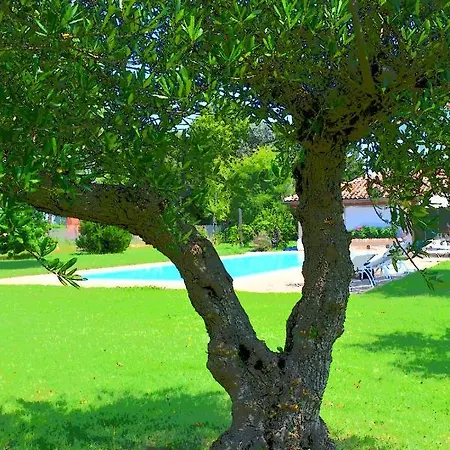 Bed & Breakfast Residenza Cantalupo